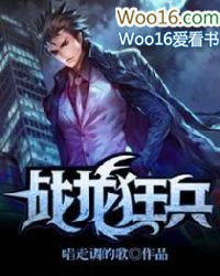 战龙狂兵 战龙狂兵