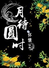 月待圆时 月待圆时