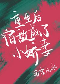 重生后宿敌成了小娇妻 重生后宿敌成了小娇妻