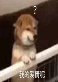 沉默的羔羊 沉默的羔羊