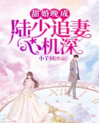 陆少追妻心机深 陆少追妻心机深