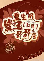 红楼重生成黛玉哥哥后 红楼重生成黛玉哥哥后