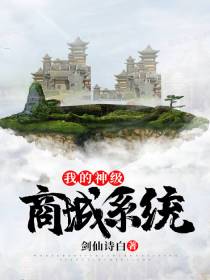 我的神级商城系统 我的神级商城系统