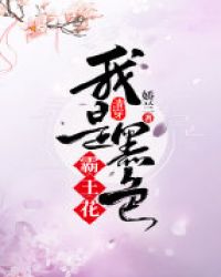 清穿,我是黑色霸王花 清穿,我是黑色霸王花