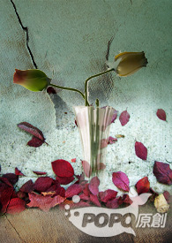 摇摇晃晃的爱 摇摇晃晃的爱