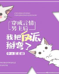 穿成言情男主后我把反派掰弯了 穿成言情男主后我把反派掰弯了