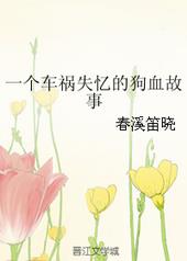 一个车祸失忆的狗血故事 一个车祸失忆的狗血故事