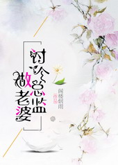 讨个总监做老婆 讨个总监做老婆