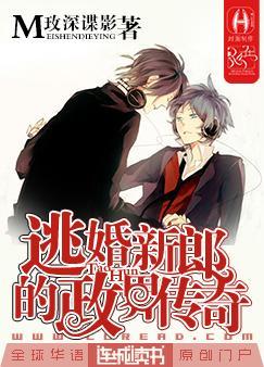 逃婚新郎的政界传奇 逃婚新郎的政界传奇