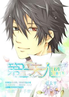 第一夫人 第一夫人