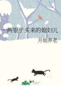 一两银子买来的媳妇儿 一两银子买来的媳妇儿