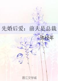 先婚后爱:前夫是总裁 先婚后爱:前夫是总裁