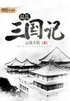 混乱三国记 混乱三国记