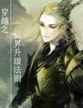 穿越之仙界升级法则 穿越之仙界升级法则
