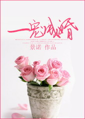 一宠成婚 一宠成婚