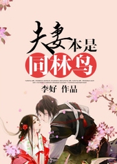 夫妻本是同林鸟 夫妻本是同林鸟