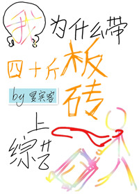 我为什么带四十斤板砖上综艺 我为什么带四十斤板砖上综艺