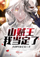 山贼王我当定了 山贼王我当定了