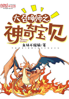 大召唤师之神奇宝贝 大召唤师之神奇宝贝