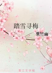 踏雪寻梅 踏雪寻梅