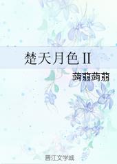 楚天月色Ⅱ 楚天月色Ⅱ