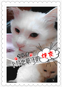 一个尽忠职守的炮灰 一个尽忠职守的炮灰