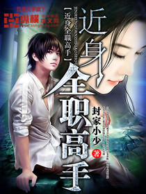 近身全职高手 近身全职高手