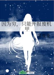 因为穷,只能开报废机甲 因为穷,只能开报废机甲