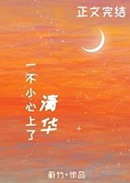 一不小心上了清华 一不小心上了清华