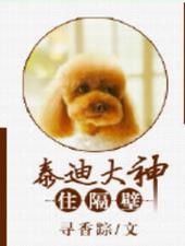 泰迪大神住隔壁 泰迪大神住隔壁