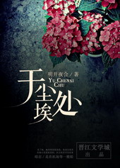 于尘埃处 于尘埃处