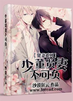 少董贤妻不可负 少董贤妻不可负