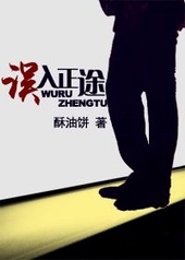 误入正途 误入正途