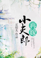 再嫁小夫郎 再嫁小夫郎
