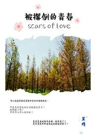 被撂倒的青春 被撂倒的青春