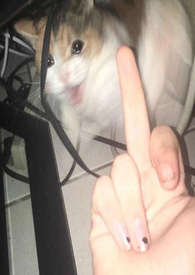 讨厌又怎么样,还不是要乖乖挨操(百合H) 讨厌又怎么样,还不是要乖乖挨操(百合H)