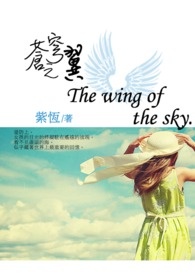苍穹之翼 苍穹之翼