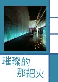璀璨的那把火 璀璨的那把火