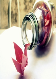 纸鹤间的牵绊 纸鹤间的牵绊