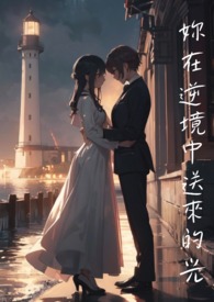 《你在逆境中送来的光》 《你在逆境中送来的光》