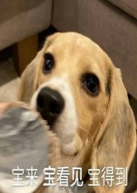 晨音之夏(男全处,nph) 晨音之夏(男全处,nph)