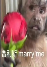 自我沉沦(nph) 自我沉沦(nph)