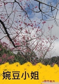 婉豆小姐 婉豆小姐