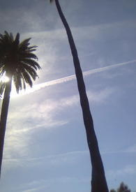 飞翔的羽毛 飞翔的羽毛