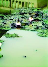 缘定有晴天 缘定有晴天