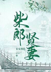 柴郎贤妻(种田文) 柴郎贤妻(种田文)