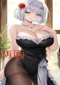 两面(1V1 高H) 两面(1V1 高H)