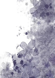 曼陀罗(SM,1V1,年上) 曼陀罗(SM,1V1,年上)