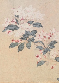 撷春色(强取豪夺) 撷春色(强取豪夺)