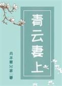 青云妻上 青云妻上